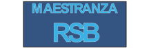 Maestranza y Servicios Industriales RSB