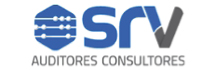 Srv Auditores Consultores