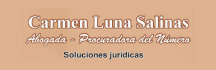 Procuradora del Número Carmen Luna