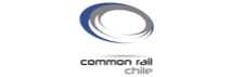 Inyectores Common Rail Chile