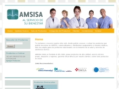 amsisa-chile_cl