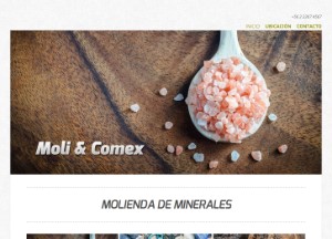 molicomex_cl