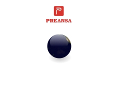 preansa_com