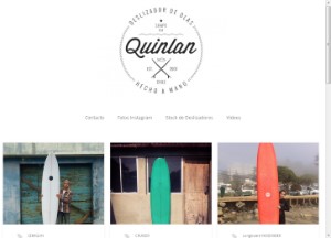 quinlansurf_com