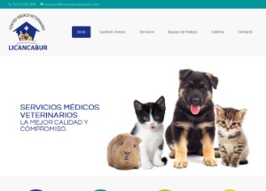 veterinarialicancabur_com