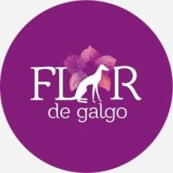 Flor de Galgo